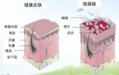 мһֱβ÷ԽԽˣ人ҽ<a href='https://www.7991.org/mrjk/18380.html' target='_blank'><u></u></a>
