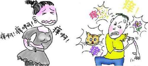 人ʪҽ<a href='https://www.7991.org/mrjk/18380.html' target='_blank'><u></u></a>ȫʪβô