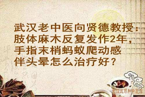 武汉老中医<a href='https://www.7991.org/jbxw/18387.html' target='_blank'><u>向贤德</u></a>教授:肢体麻木反复发作2年,手指末梢蚂蚁爬动感伴头晕怎么治疗好?