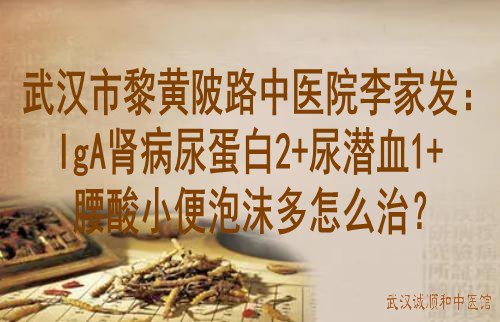 武汉市黎黄陂路中<a href='http://www.7991.org/' target='_blank'><u>医院</u></a>李家发:IgA肾病尿蛋白2+尿潜血1+腰酸小便泡沫多怎么治?