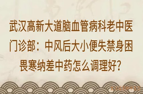 武汉高新大道脑血管病科老中医门诊部:中风后大小便失禁身困畏寒纳差中药怎么调理好?