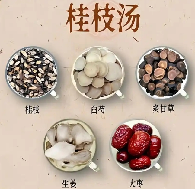 桂枝汤加苏叶：治“每天清晨一受凉气，立马鼻子塞流清水鼻涕”