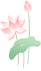 ĺҽס˵ġˡ