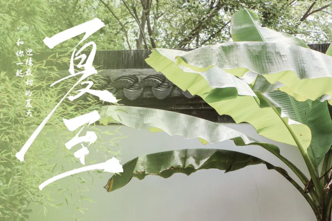 武汉永幸堂中医门诊部:夏至,调养身心,助你安度盛夏1