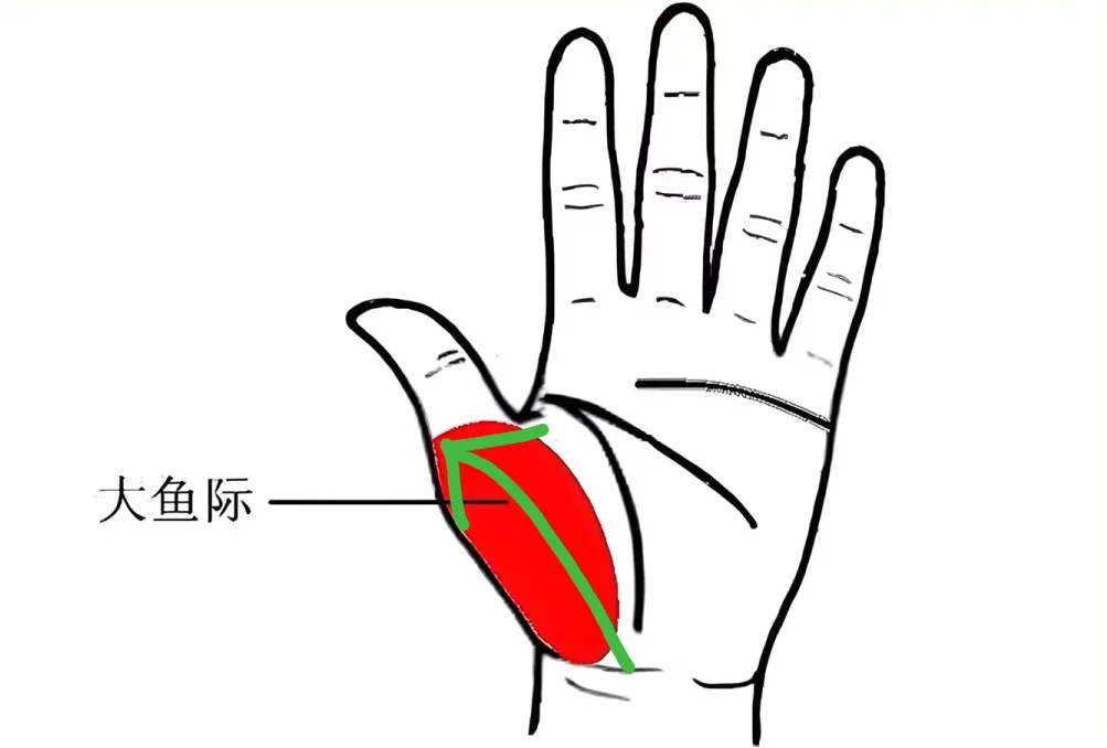 武汉九州上医馆:脸上这5个表现,说明你脾虚了!长按1穴,养出好脾胃、好气色3